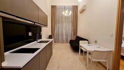 Nin Residence (D13), Apartment #502763241